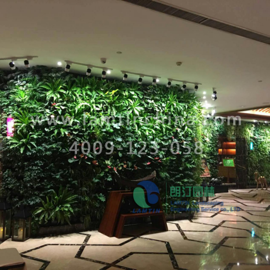 植物墻 植物墻