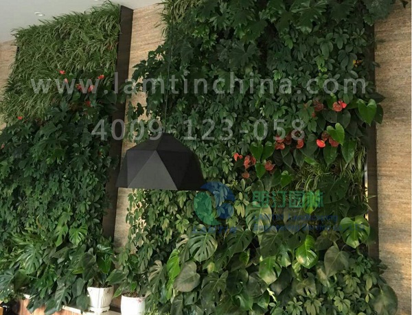 仿真植物墻