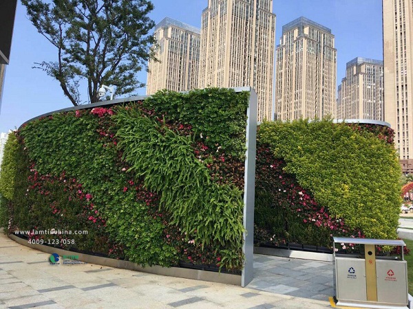 墻體綠化