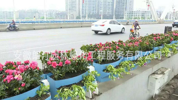 護欄花盆