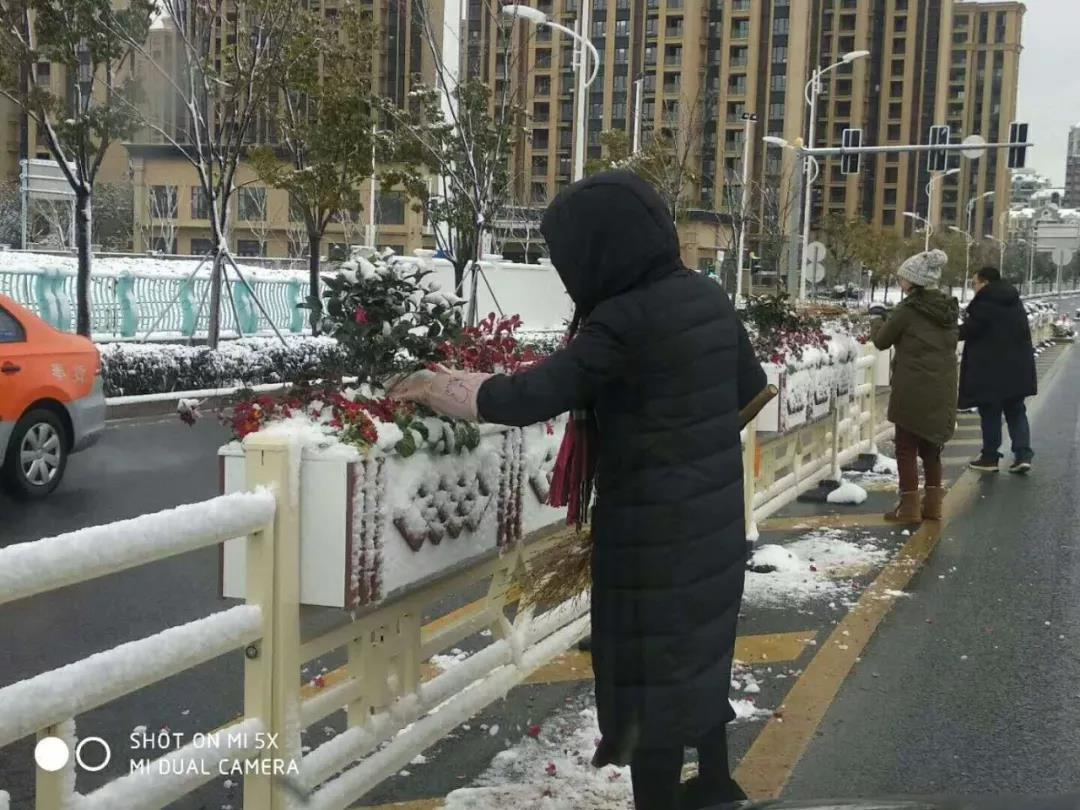 大雪里的水墨丹青藝術花箱